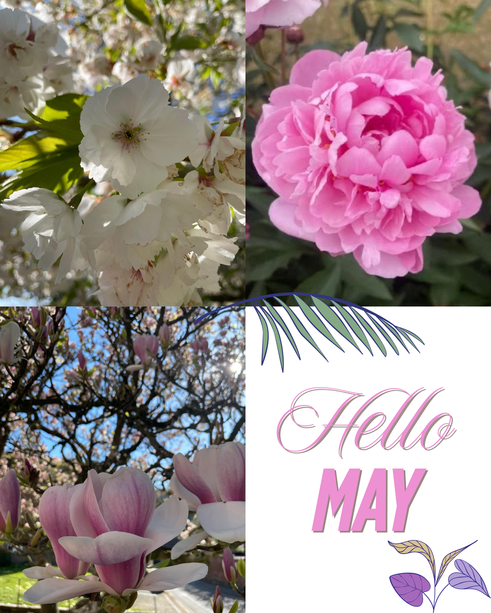 Hello May