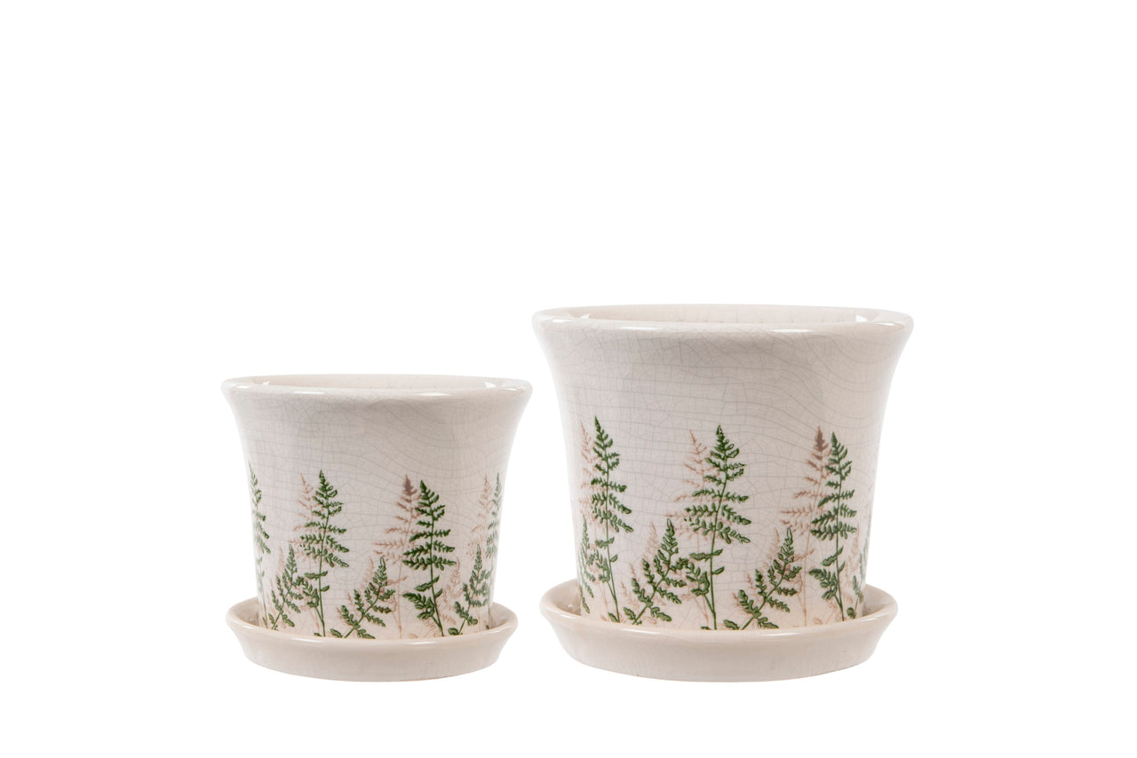 London Ornaments Pot With Tray Fern - Large
