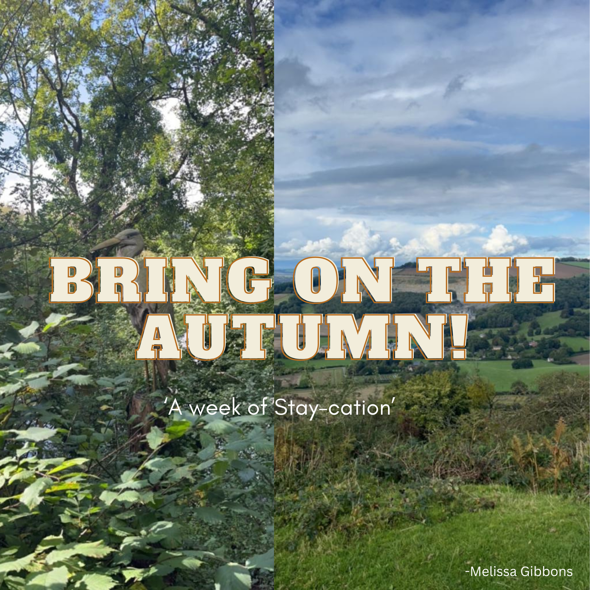 Bring on the Autumn!