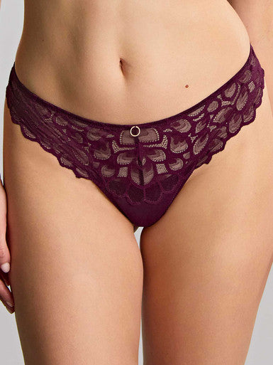 Panache Allure Thong Brief - Plum