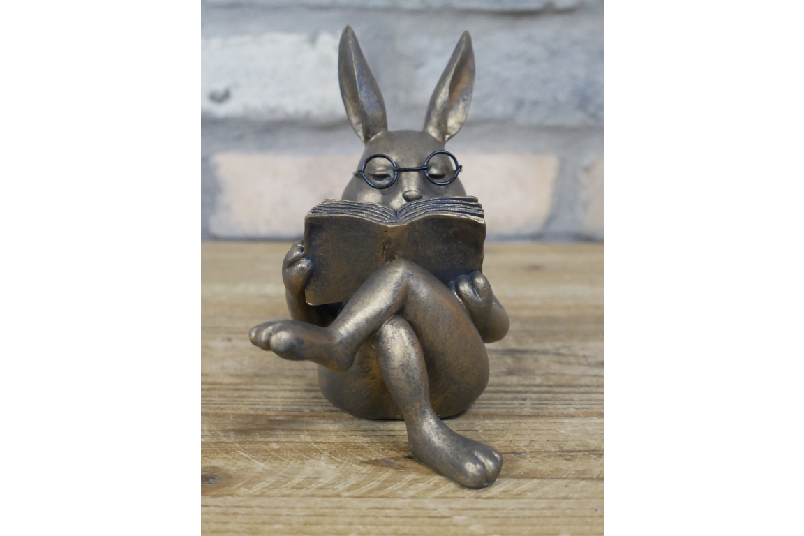 Dutch Imports Rabbit Reading