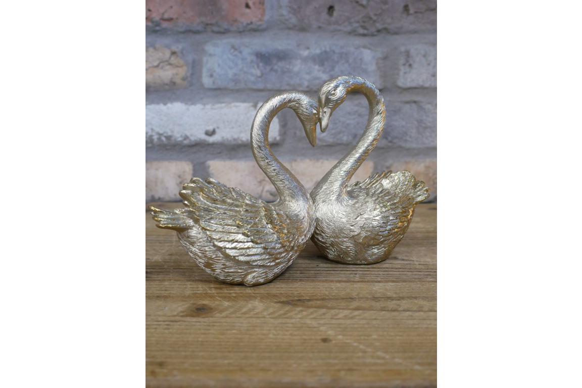 Dutch Imports Love Swans