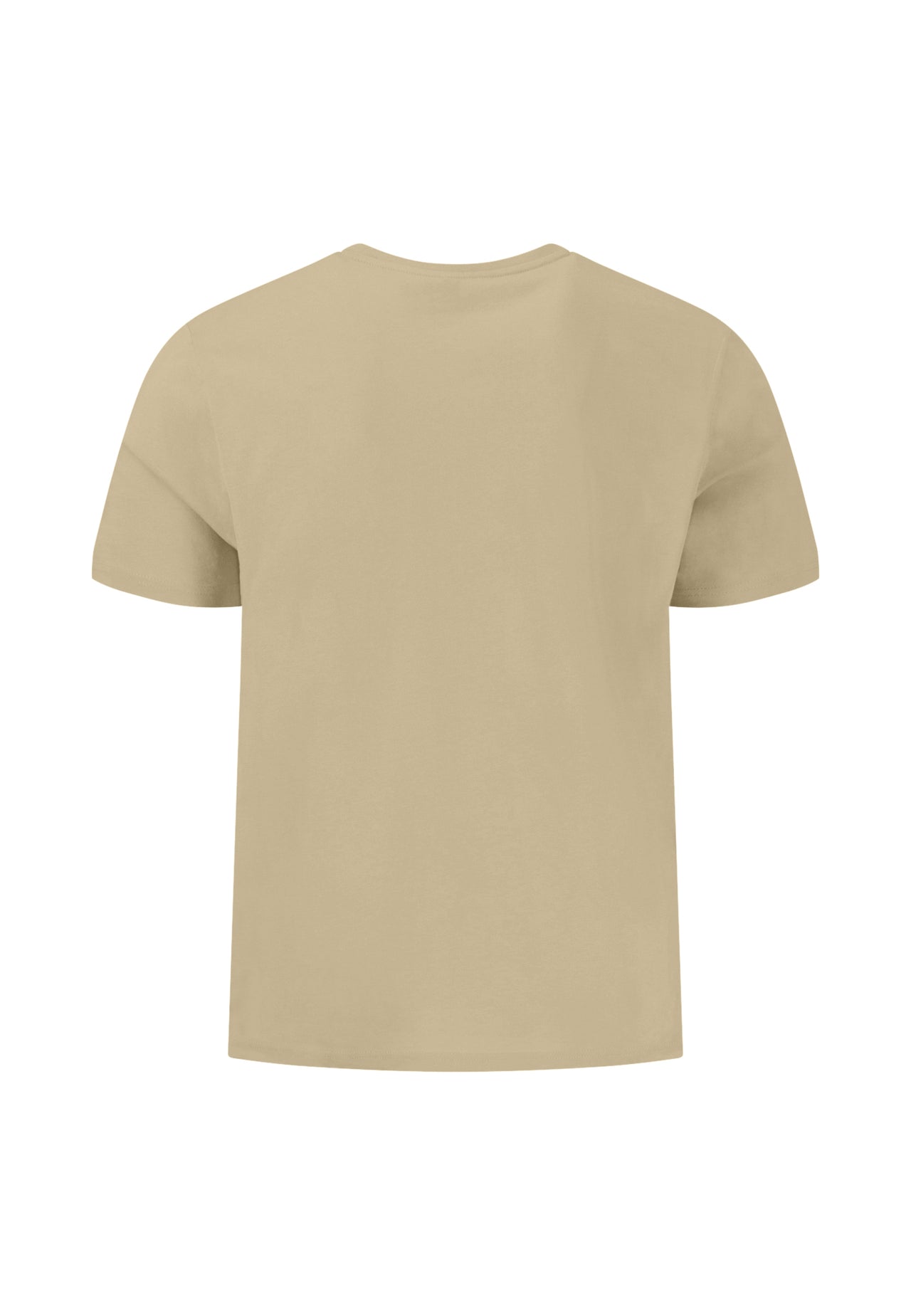 Fynch Hatton T-Shirt Basic Single Jersey- Pistachio