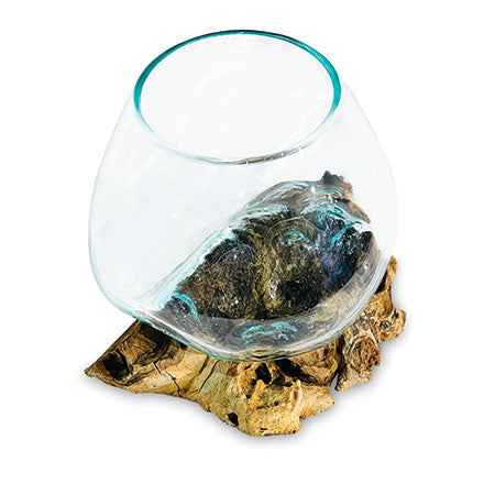 Makasi Root With Glass Bowl Extra Small - MB2