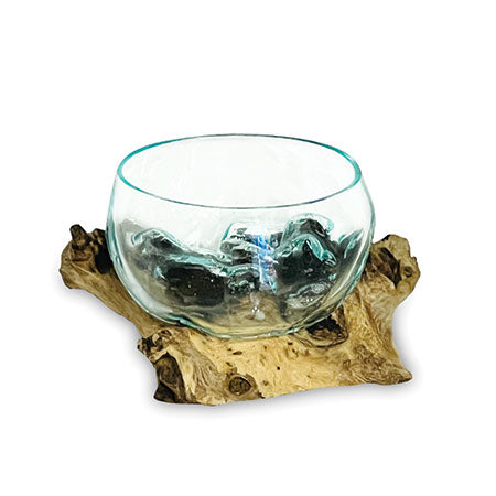 Makasi Root With Glass Fruit Bowl Tiny