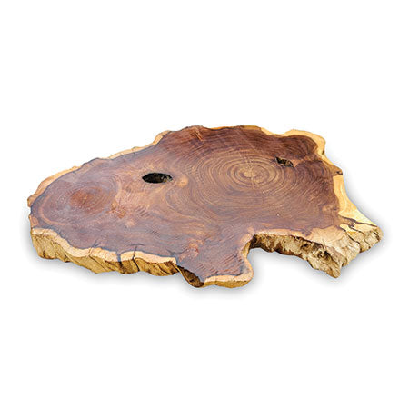 Makasi Tree Root Slice Placemats 30-35cm