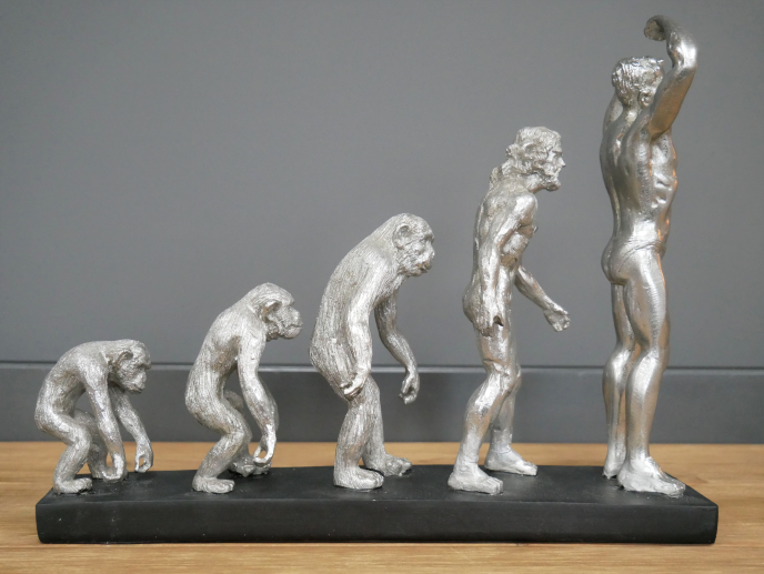 Dutch Imports 'Human Evolution' Ornament