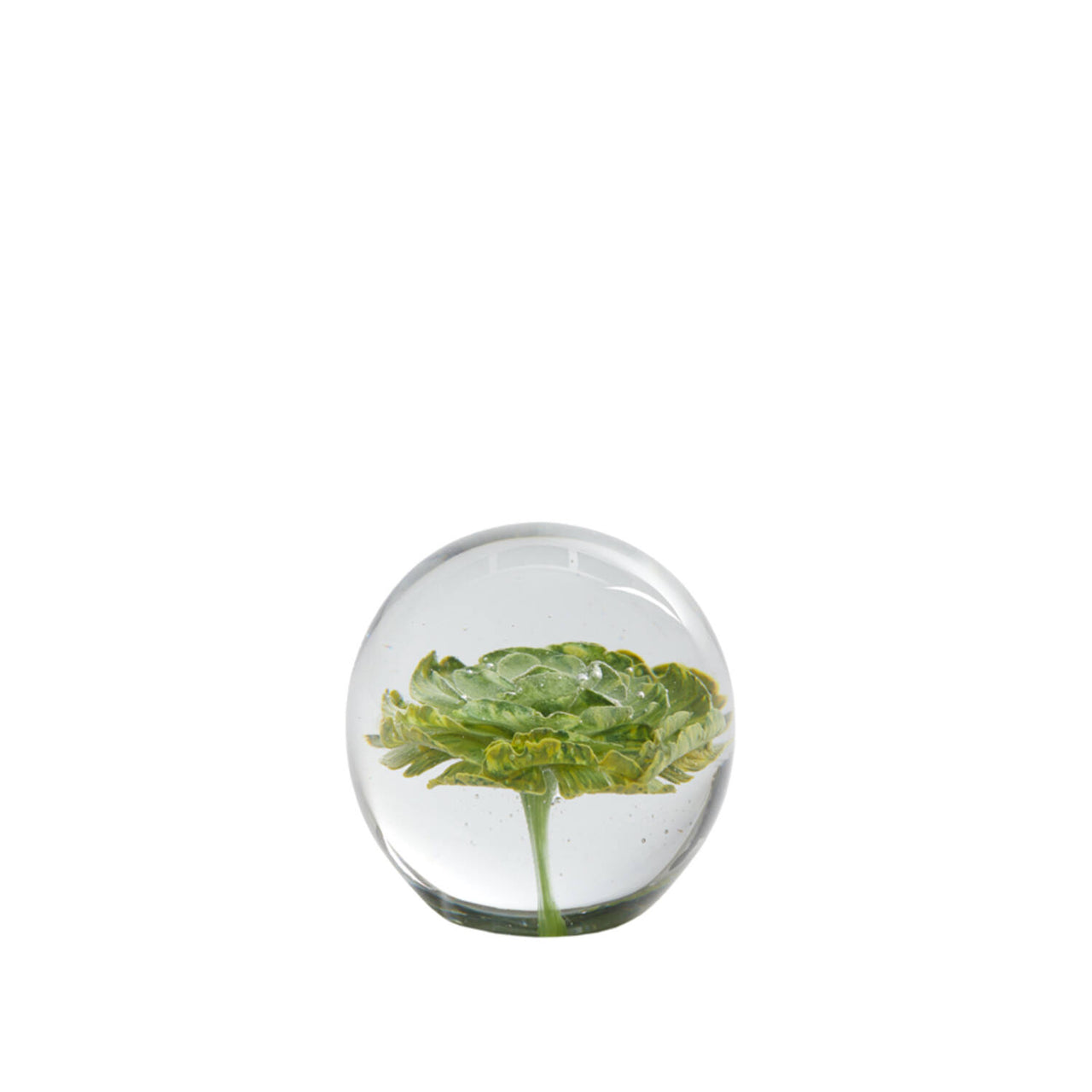 Light & Living Flower Glass