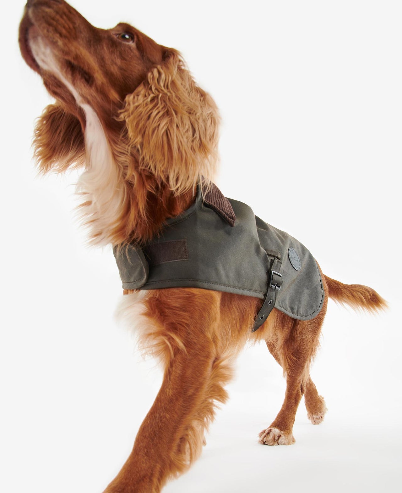 Barbour Tartan Wax Dog Coat - Olive