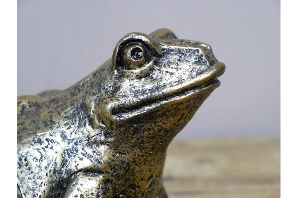 Dutch Imports Frog