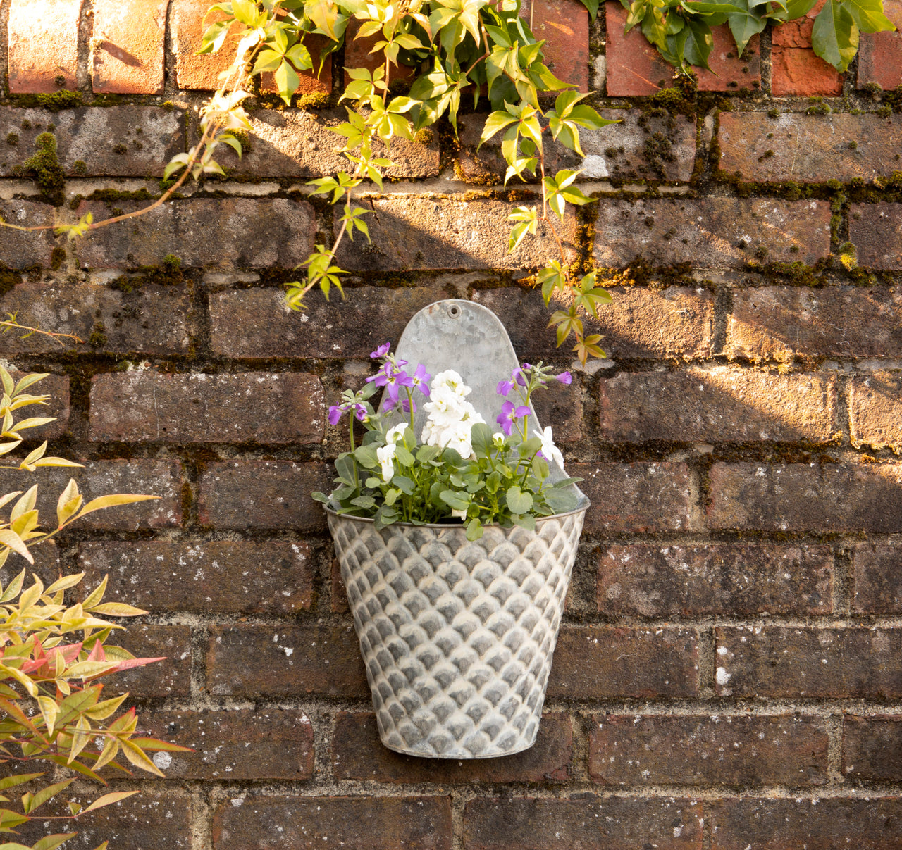 London Ornaments Echelle Planter