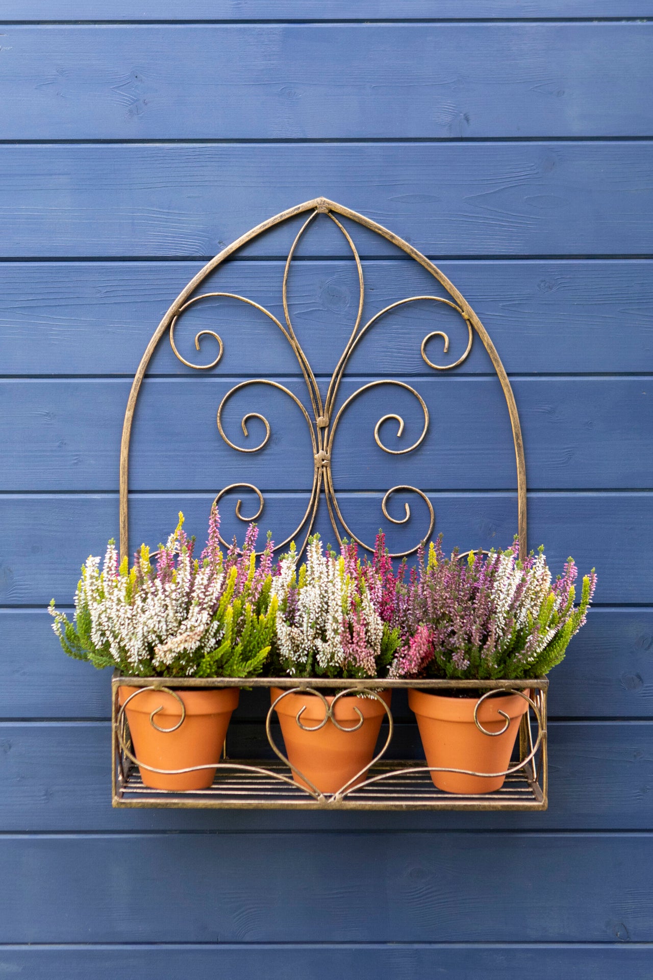 London Ornaments Bruni Wall Planter - Two Sizes