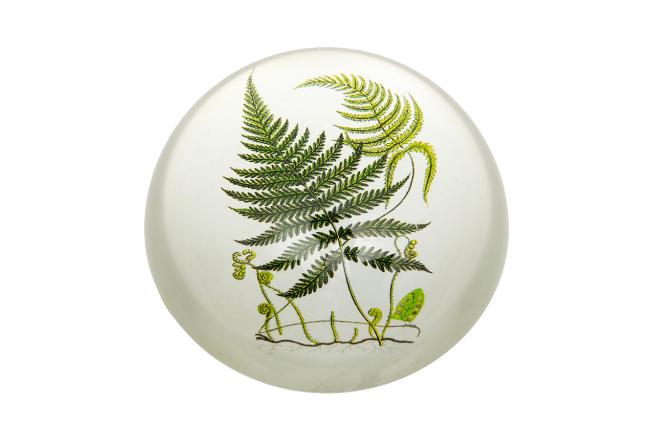 London Ornaments Fern Paperweight