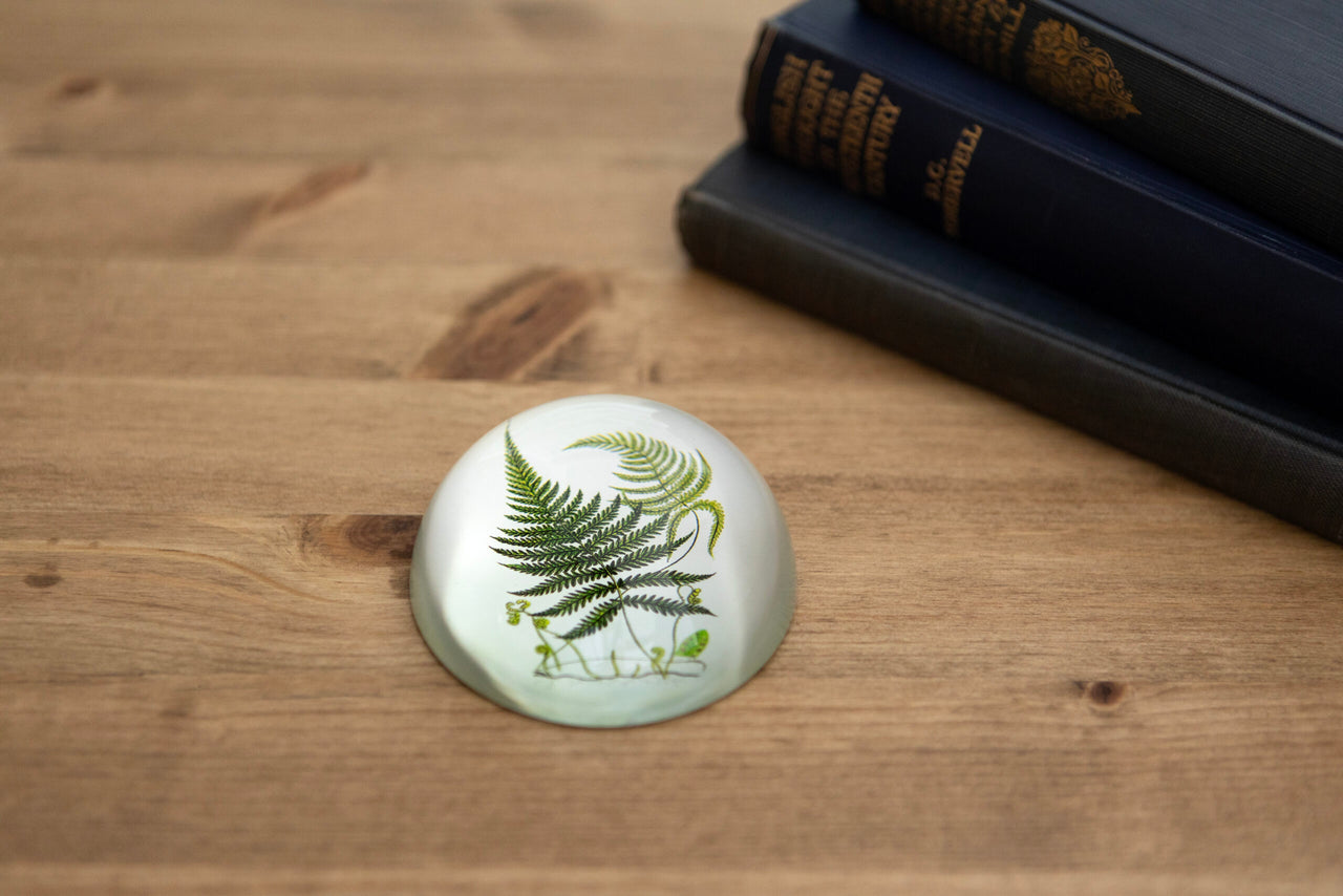 London Ornaments Fern Paperweight
