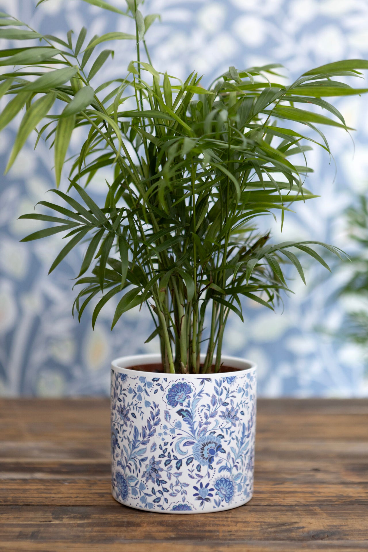 London Ornaments Cornflower Blue Botanical Pot