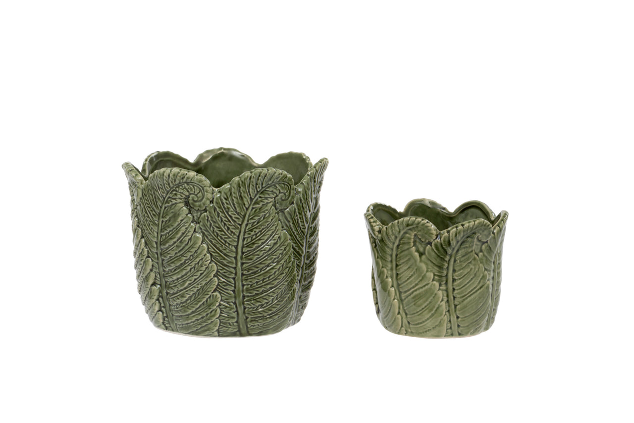 London Ornaments Evergreen Pot Set Of 2