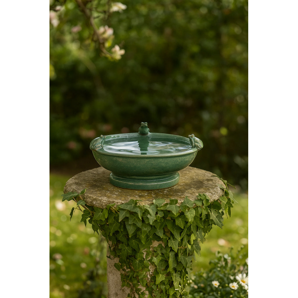 London Ornaments Frog Birdfeeder