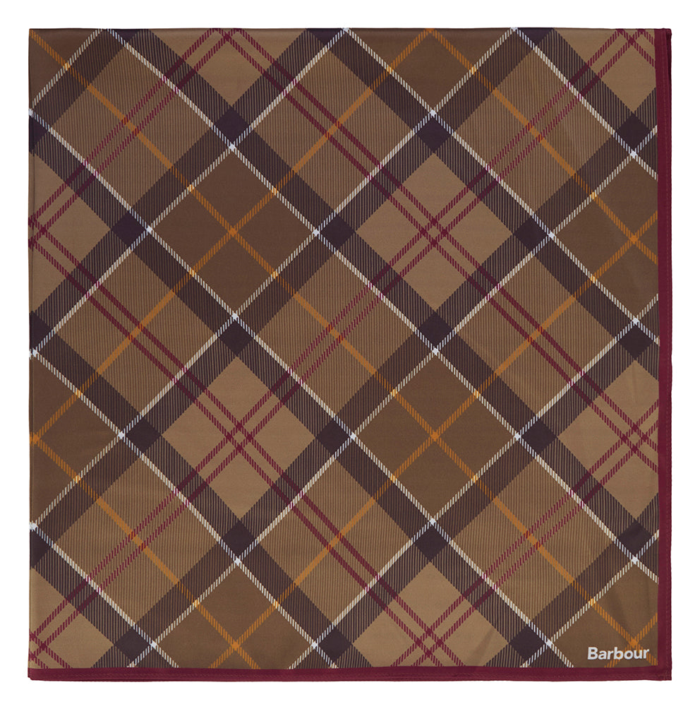 Barbour KINSALE Tartan Scarf - Muted Tartan