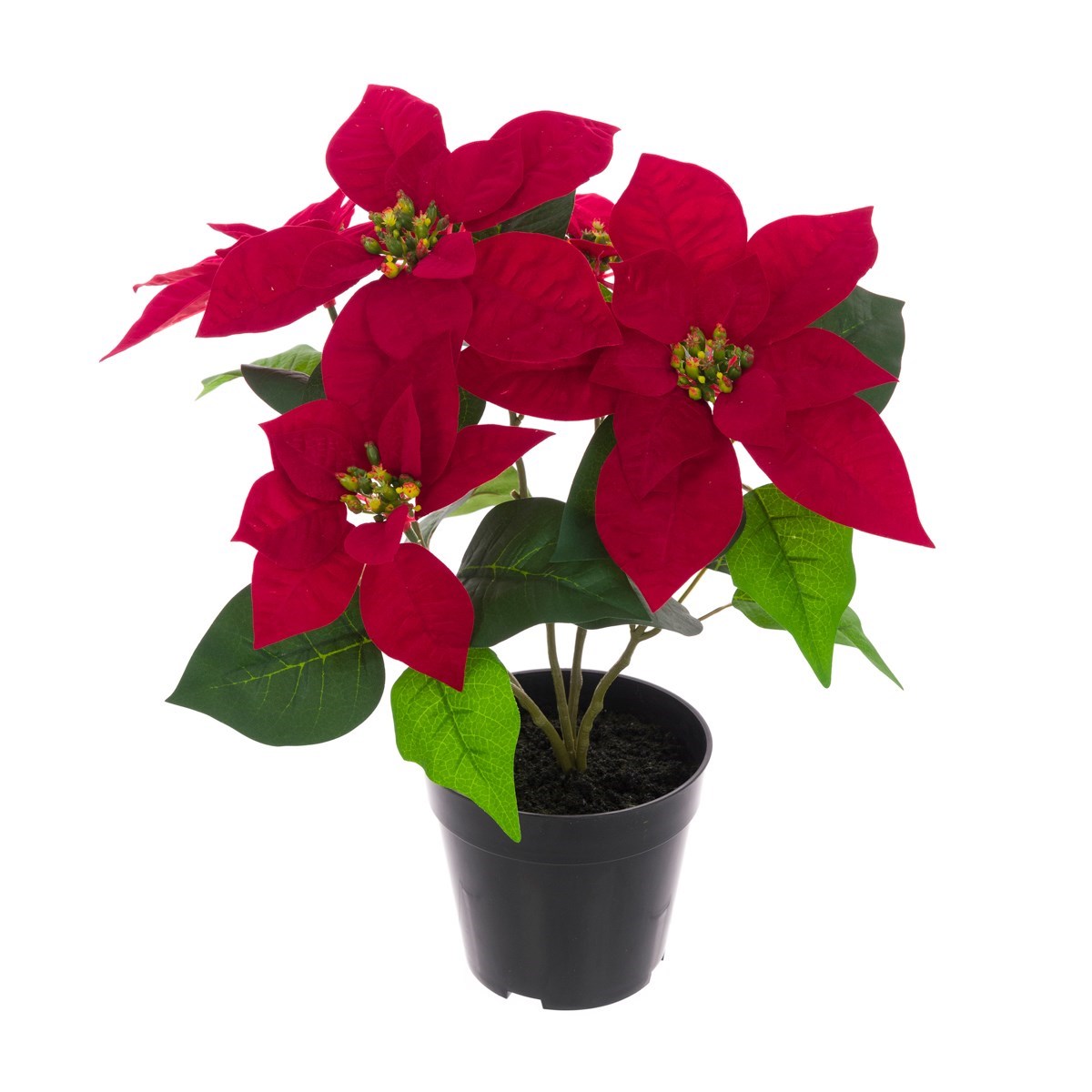 FloralSilk Berry Potted Poinsettia