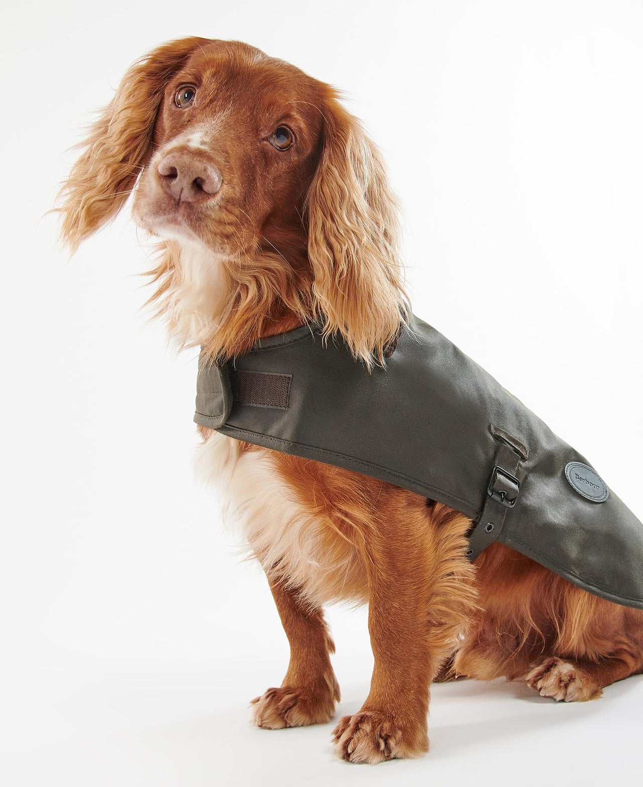 Barbour Tartan Wax Dog Coat - Olive
