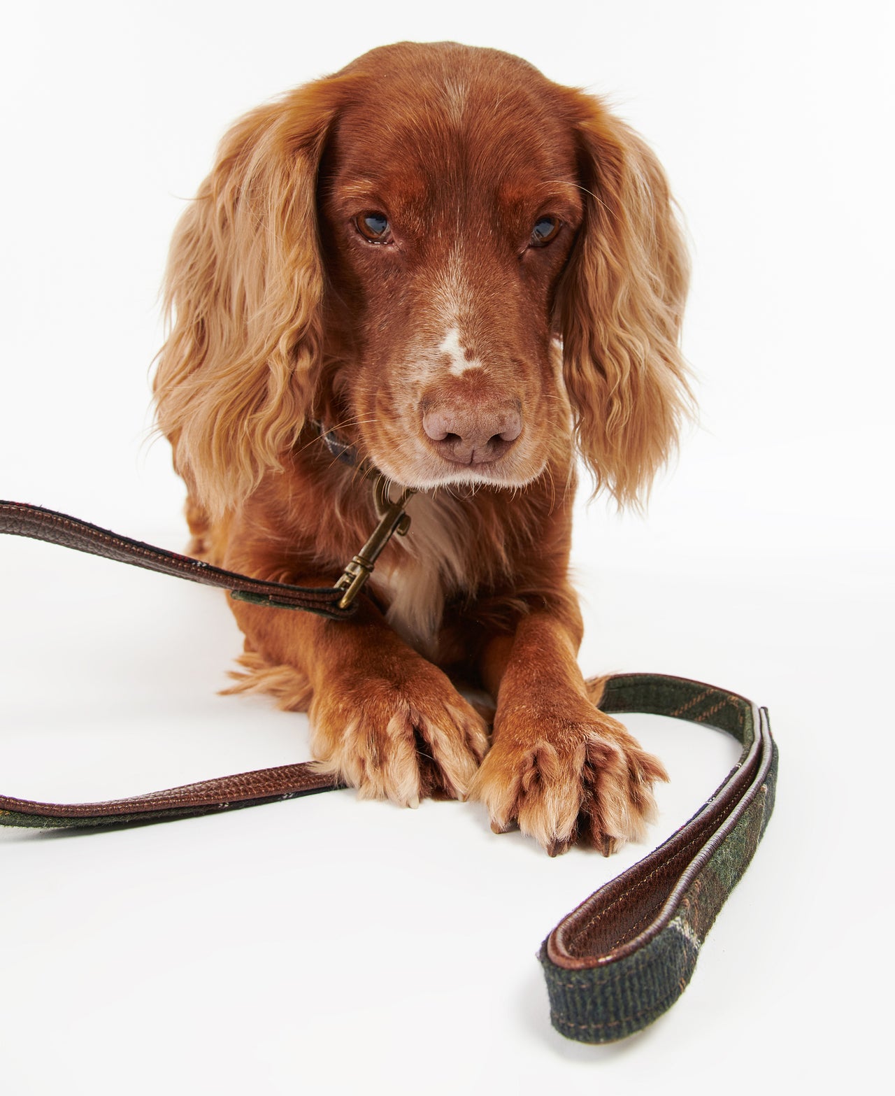 Barbour Tartan Classic Dog Lead