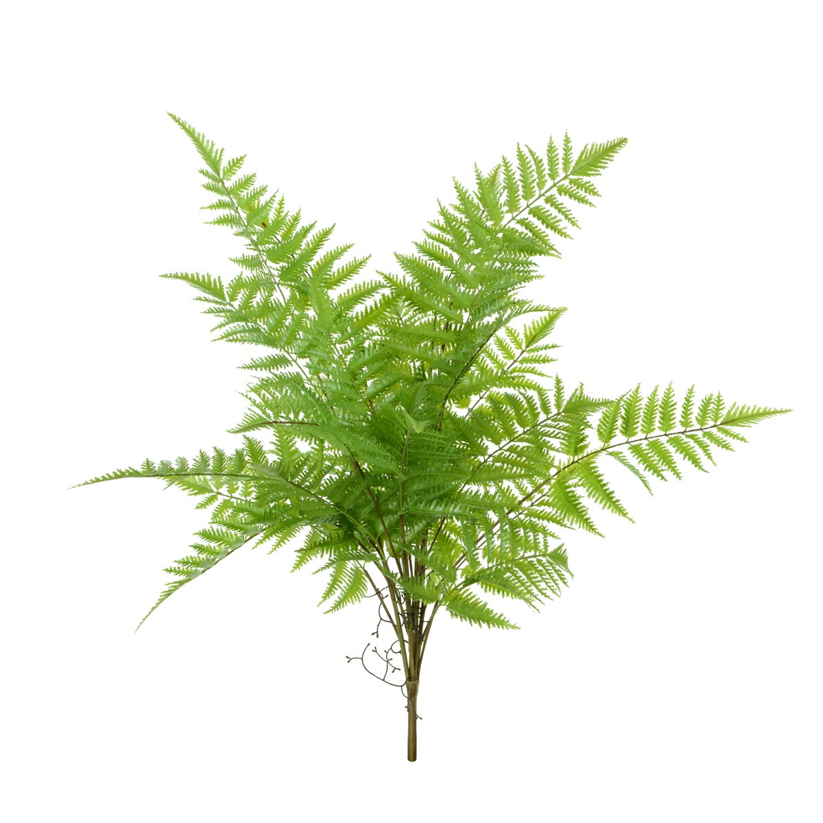 Florasilk Forst Fern Bush