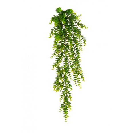 Floralsilk UV Trailing Eucalyptus