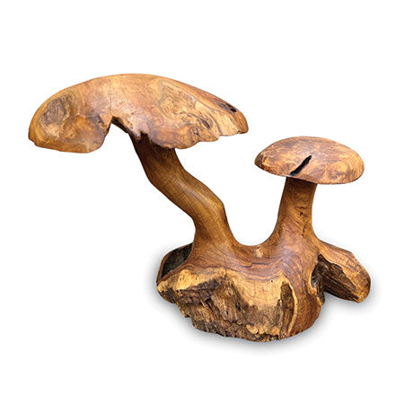Makasi Double Wild Mushrooms