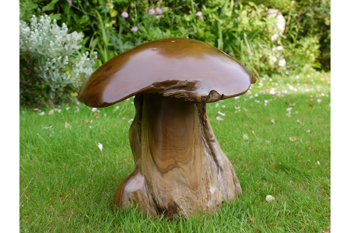 Dutch Imports Wood Mushroom