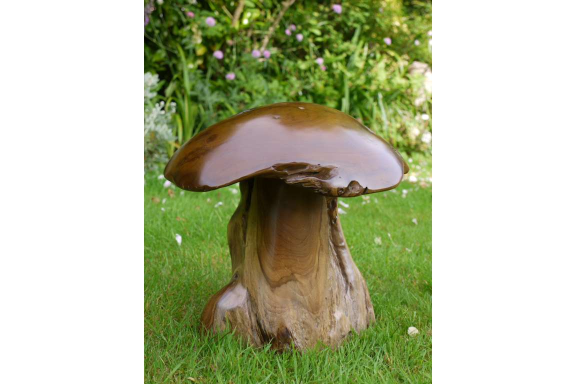 Dutch Imports Wood Mushroom