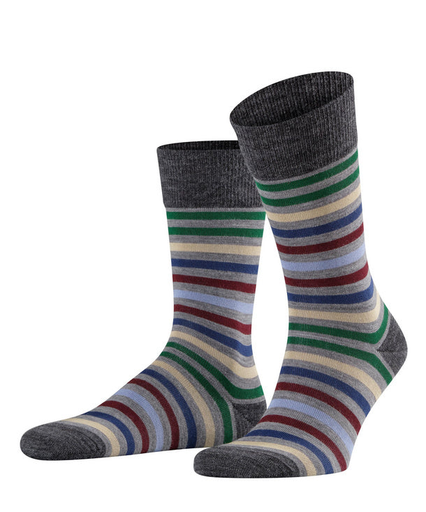 Falke Tinted Striped Mens Socks