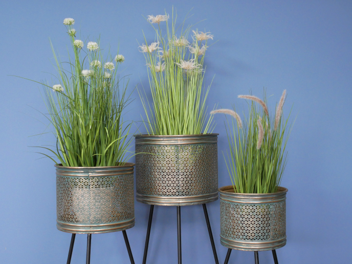 Dutch Imports Planters