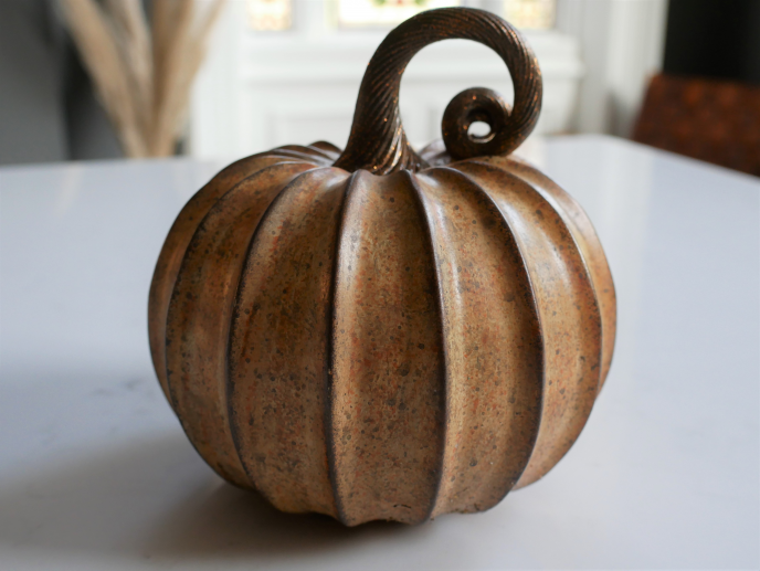 Dutch Imports Pumpkin