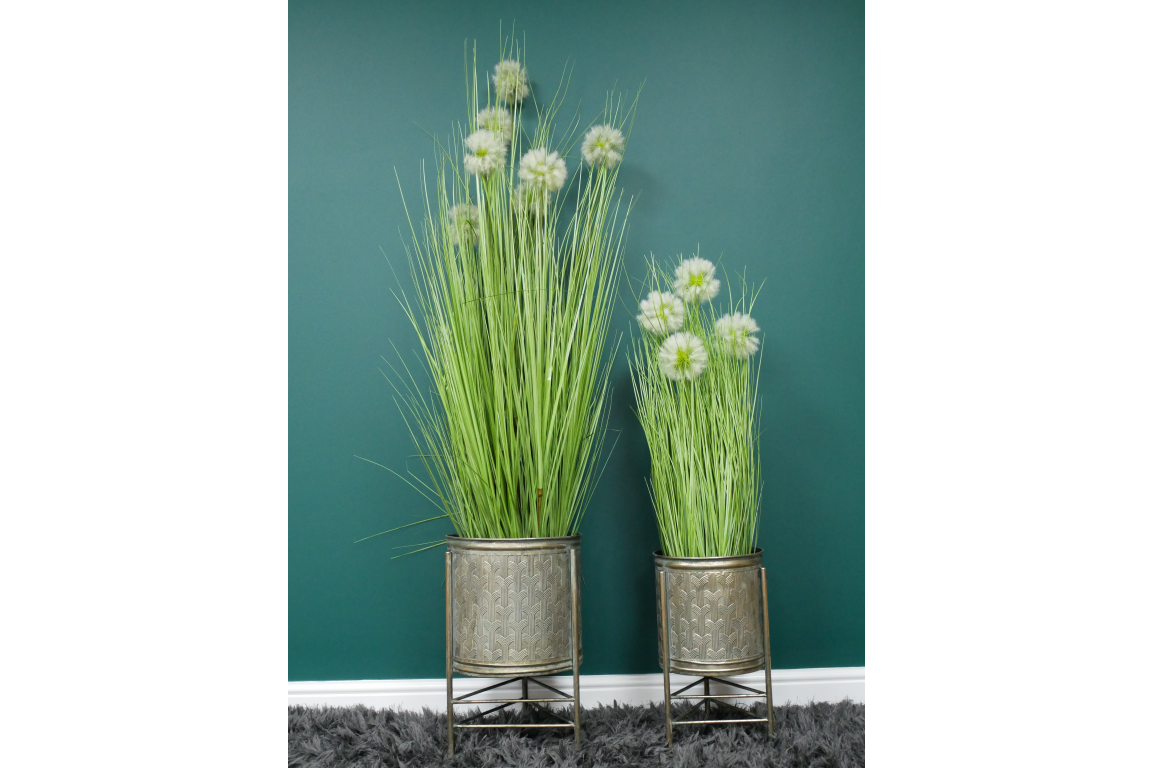 Dutch Imports Planters