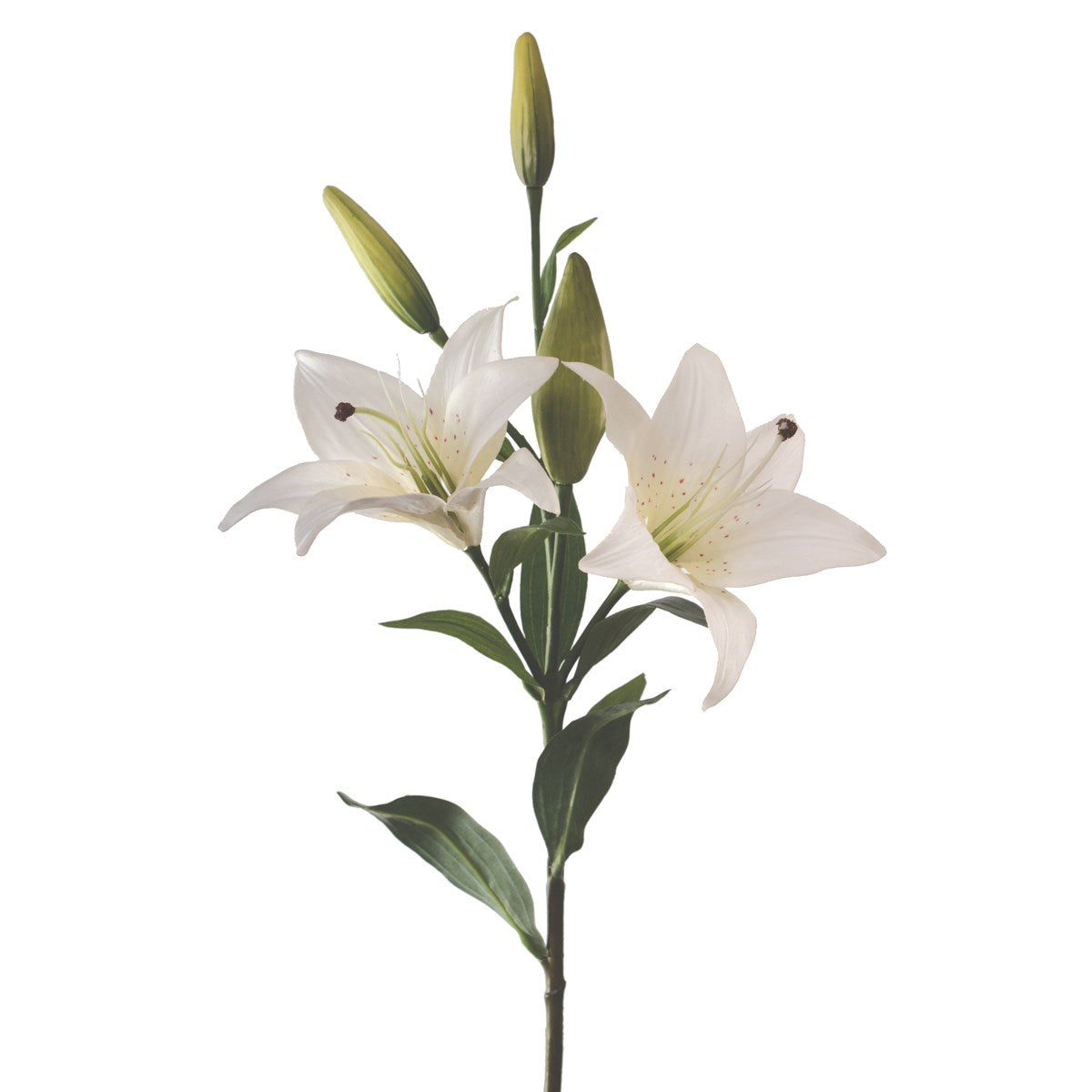 Florasilk Tiger Lily Double Headed