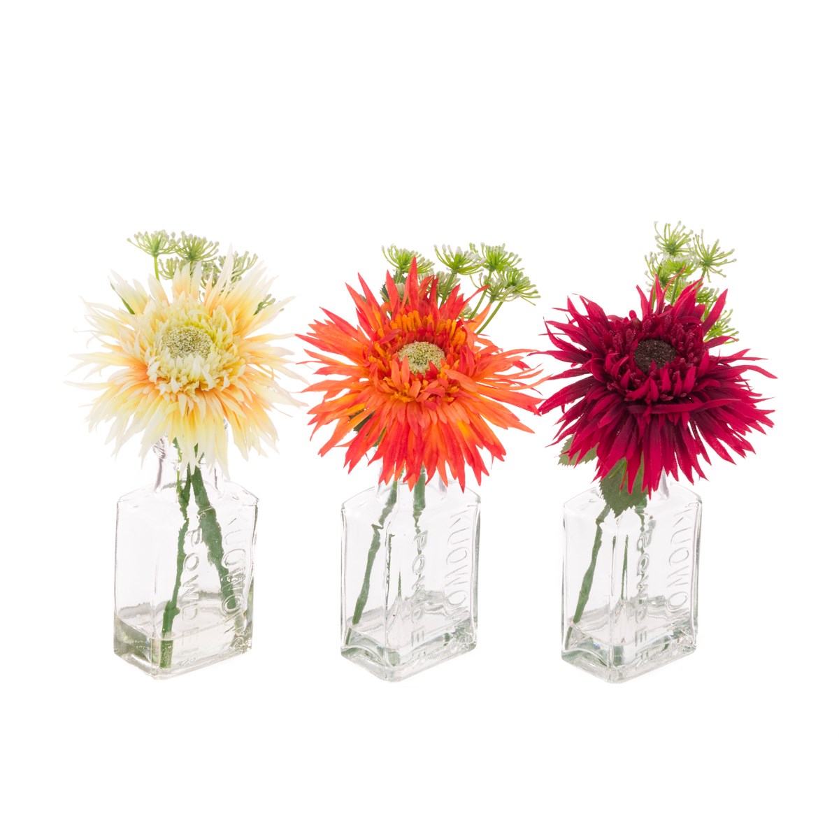 Floralsilk Gerbera/QA Lace Bottle