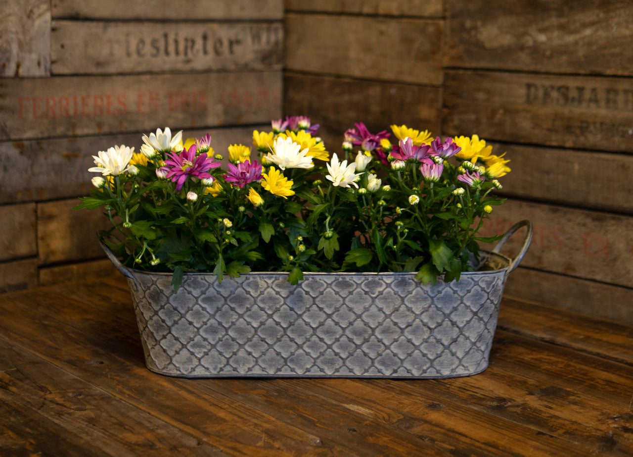 London Ornaments Stade Planter - Large