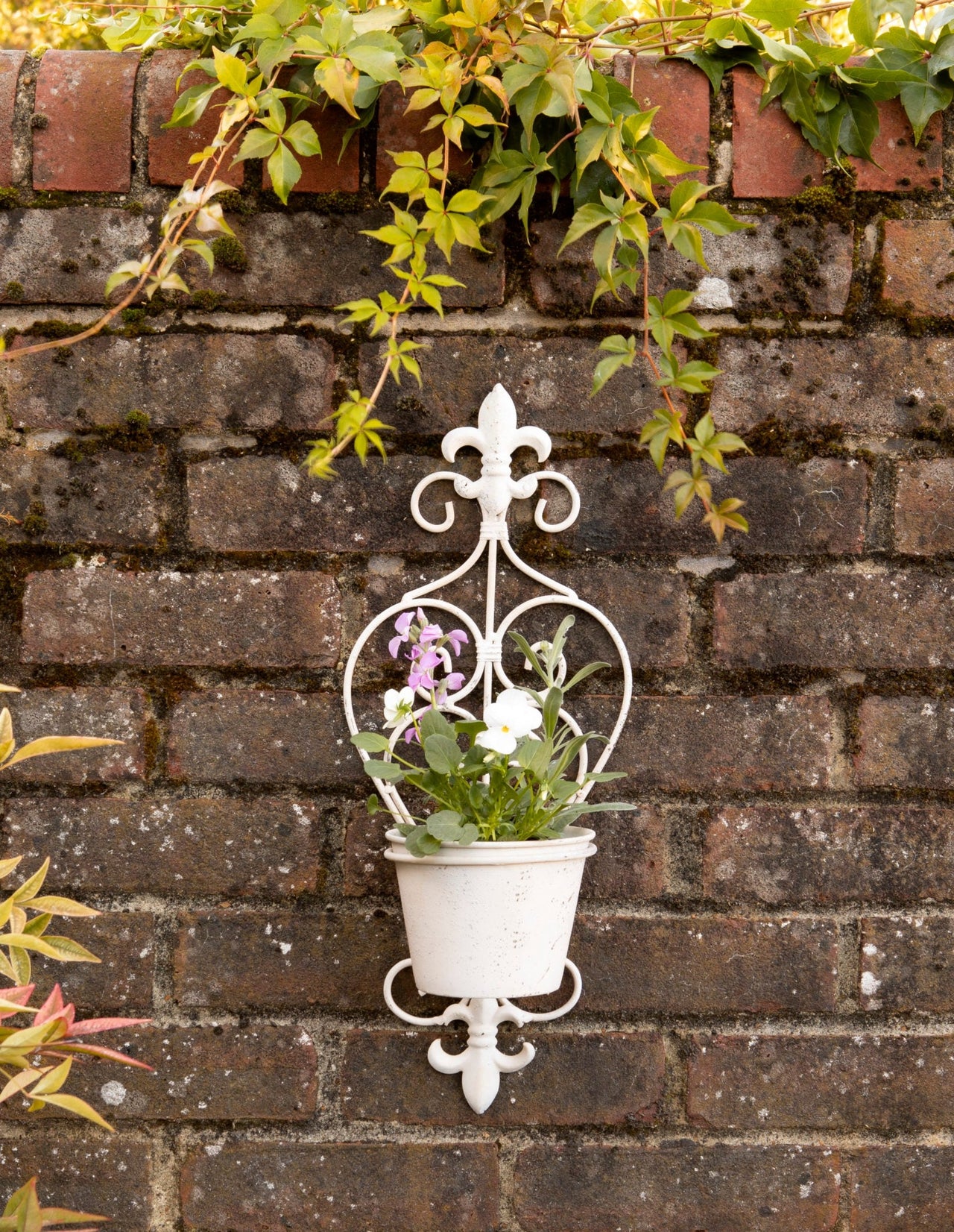 London Ornaments Fleur Folding Wall Planter