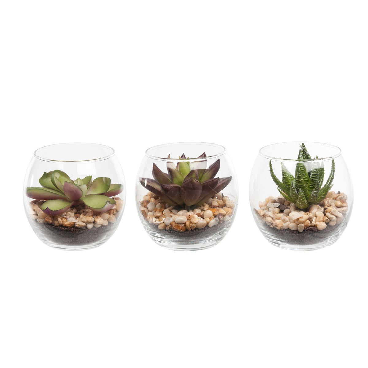 Floralsilk Succulents in Bubble Glass