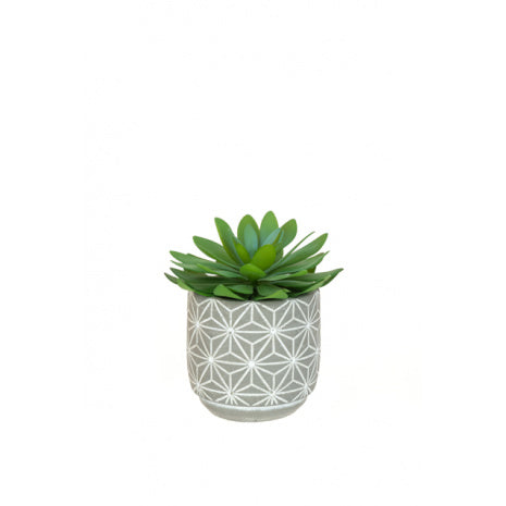 Floralsilk Cactus in Geometric Pot