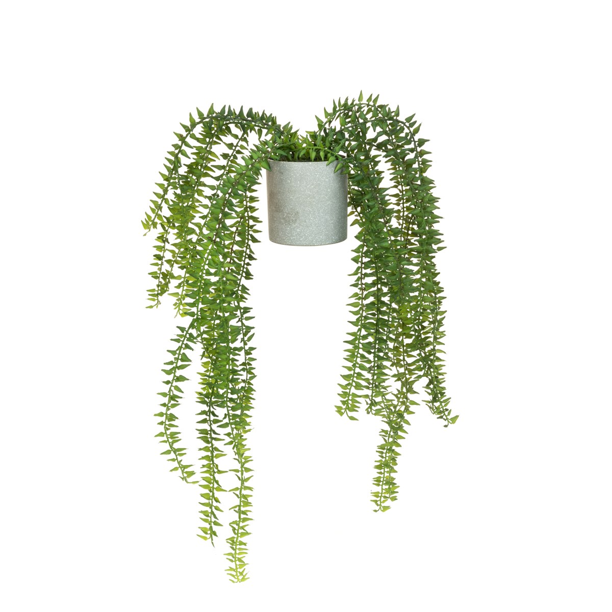 Floralsilk Potted Club Moss Fern