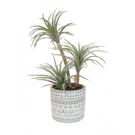 Floralsilk Airplant in Patterned Pot - 33 cm