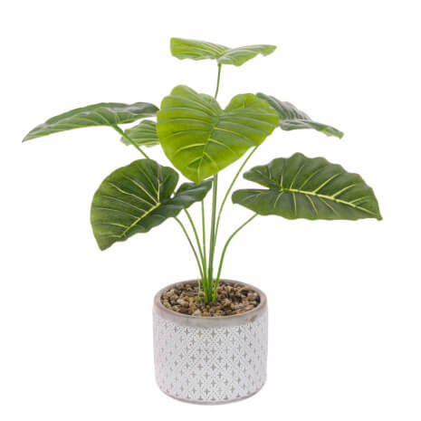 FloralSilk Philodendron In Ceramic Pot