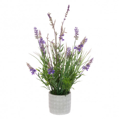 FloralSilk Lavender Plant In Ceramic Pot