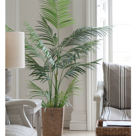 FloralSilk Areca Palm