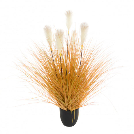 FloralSilk Potted Pampas With Grass