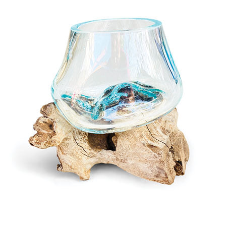 Makasi Root With Glass Bowl Tiny