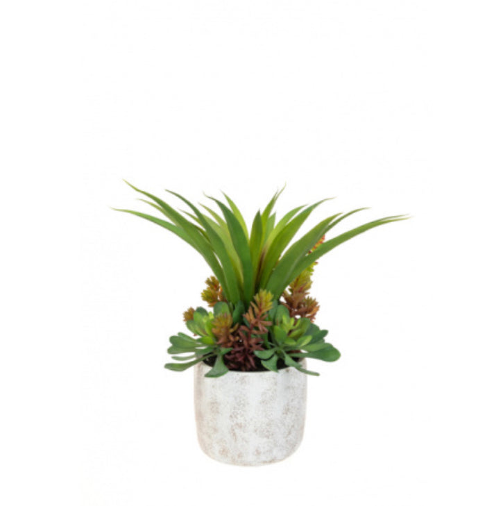 Floralsilk Mixed Succulent in Pot