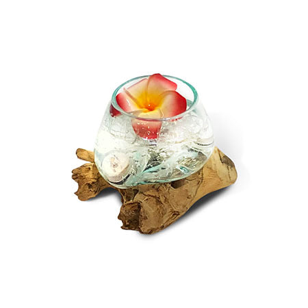 Makasi Root With Glass Bowl Mini