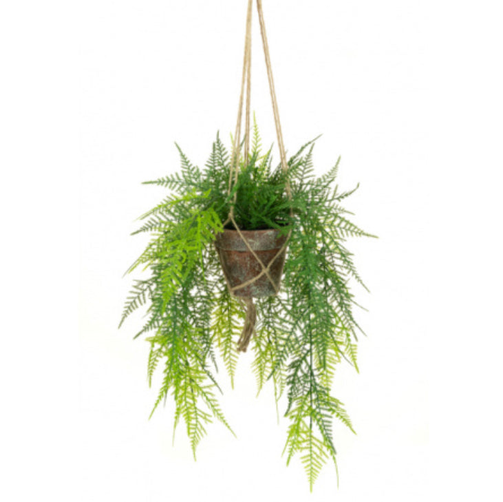 Floralsilk Hanging Fern in Pot
